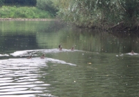 Kanutour_2011_26