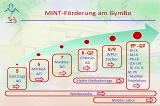 MINT am GymBo-Diagramm